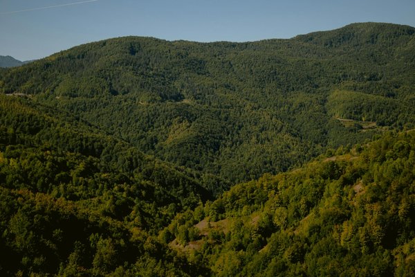 Résonances Poétiques : L'Influence Enrichissante de la Poésie sur l'Éducation Moderne