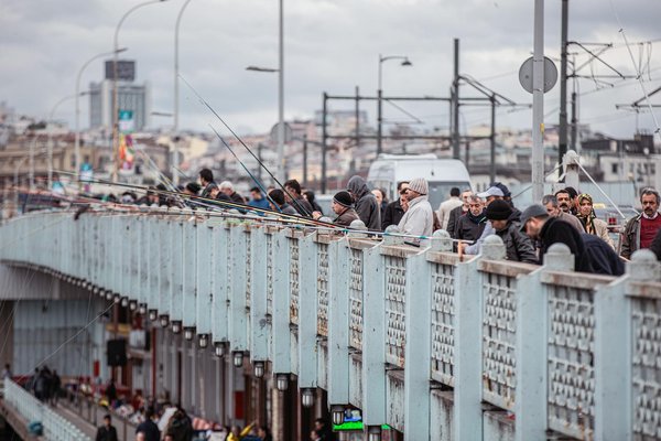 Panneau solaire photovoltaïque : vers une transition énergétique accessible